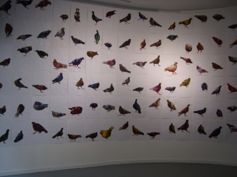 Expo Galerie CROUS - 1