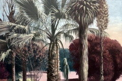 Palmiers sepia
