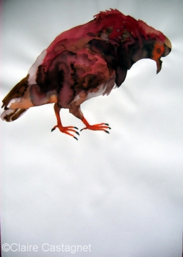 Watercolor pigeon 90