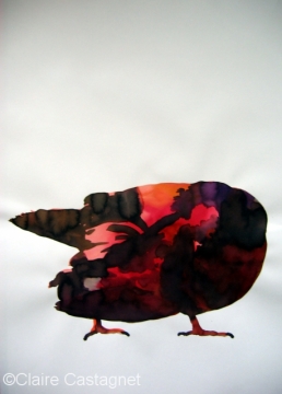 Watercolor pigeon 98