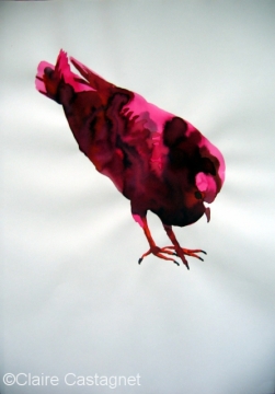 Watercolor pigeon 102