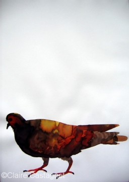 Watercolor pigeon 107