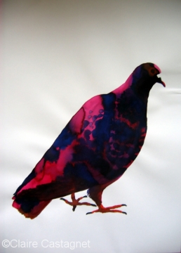 Watercolor pigeon 109