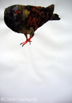 Watercolor pigeon 110