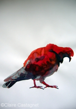 Watercolor pigeon 112