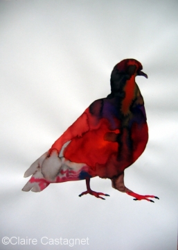 Watercolor pigeon 114