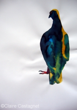 Watercolor pigeon 117