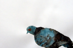 Pigeon aquarelle 14