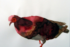 Pigeon aquarelle 24