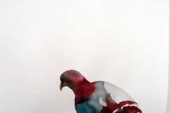 Pigeon aquarelle 35