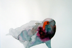 Pigeon aquarelle 37