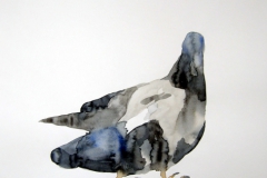 Pigeon aquarelle 41