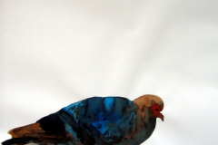 Pigeon aquarelle 66
