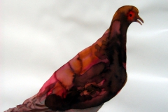 Pigeon aquarelle 84