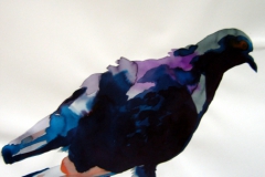Pigeon aquarelle 94
