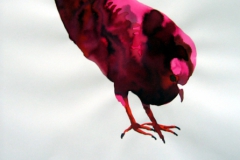 Pigeon aquarelle 102