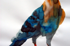 Pigeon aquarelle 115