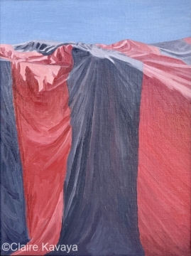 Draped tent