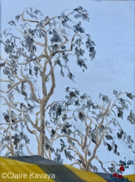 Tent and tree
